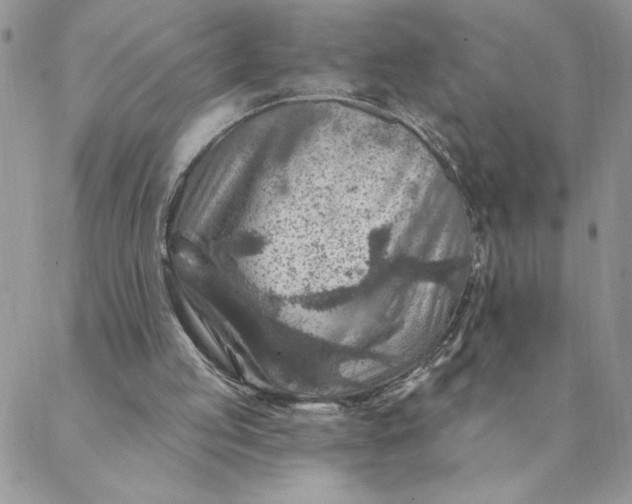 X0000088730053200706141648
