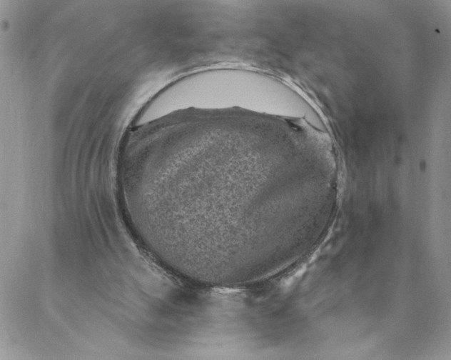 X0000088730055200706141648