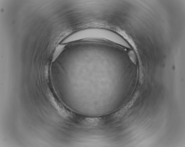 X0000088730057200706141648