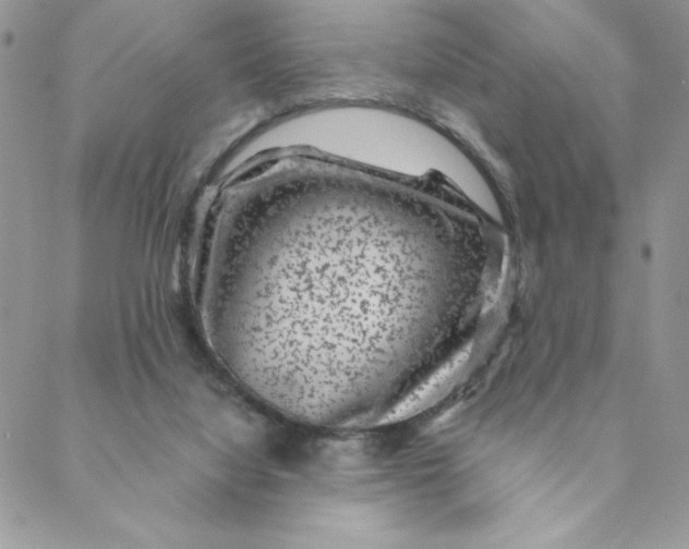 X0000088730068200706141648