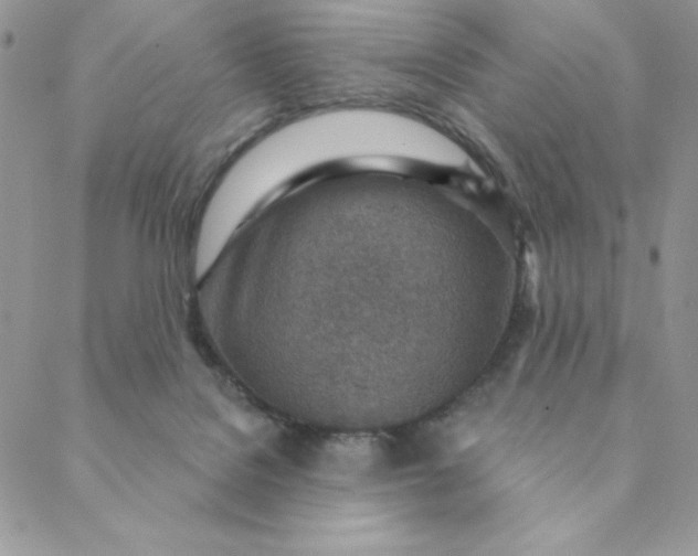 X0000088730076200706141649