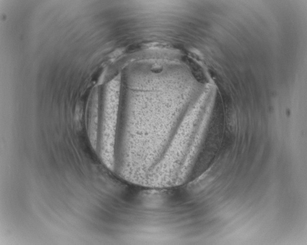 X0000088730082200706141649