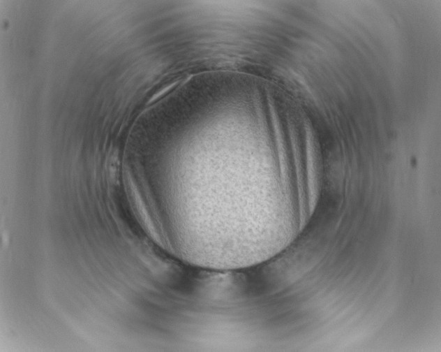 X0000088730083200706141649
