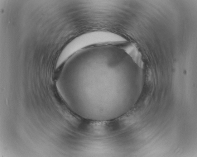 X0000088730084200706141649