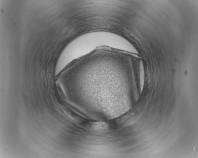 X0000088730087200706141649