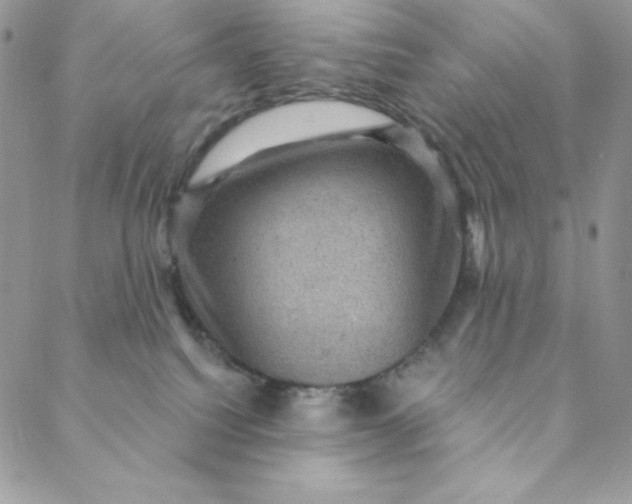 X0000088730088200706141649