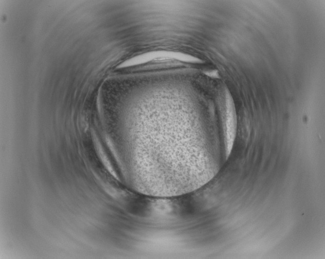 X0000088730091200706141649