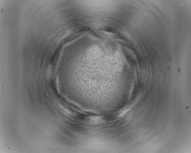 X0000088730093200706141649