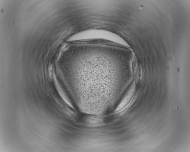 X0000088730094200706141649