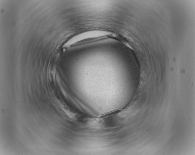 X0000088730096200706141649