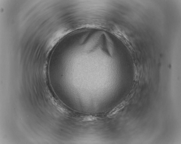 X0000088730098200706141648