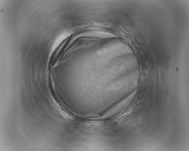 X0000088730102200706141648