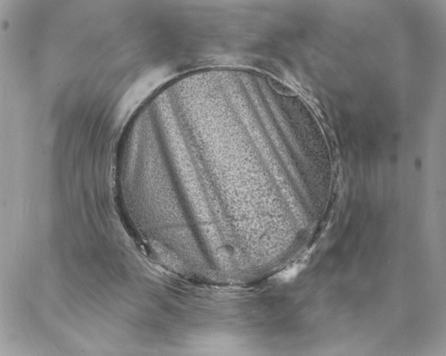 X0000088730103200706141648