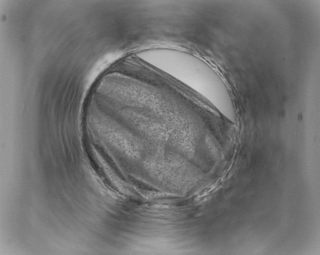 X0000088730104200706141648
