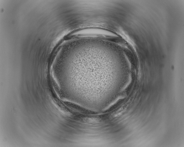 X0000088730107200706141648