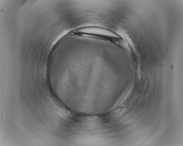 X0000088730108200706141648