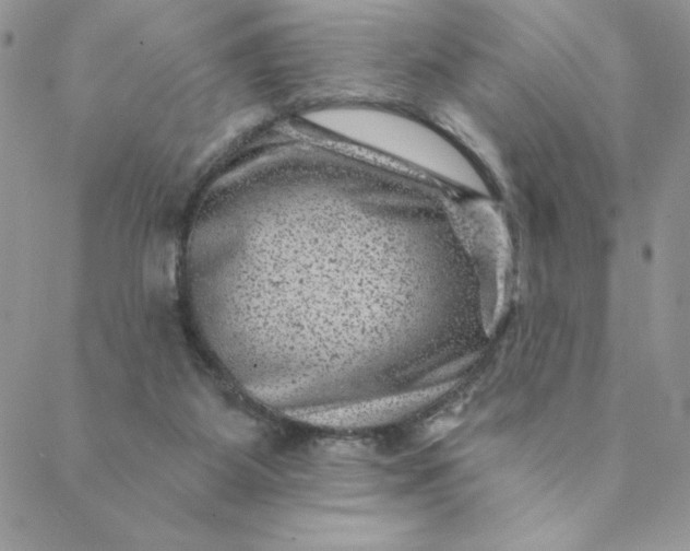 X0000088730115200706141648
