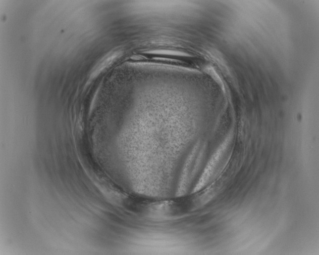 X0000088730116200706141648