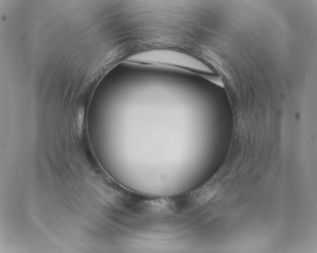 X0000088730118200706141648