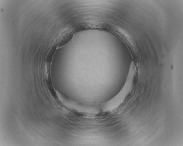 X0000088730121200706141648