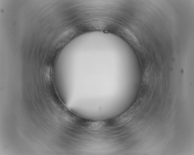 X0000088730122200706141648