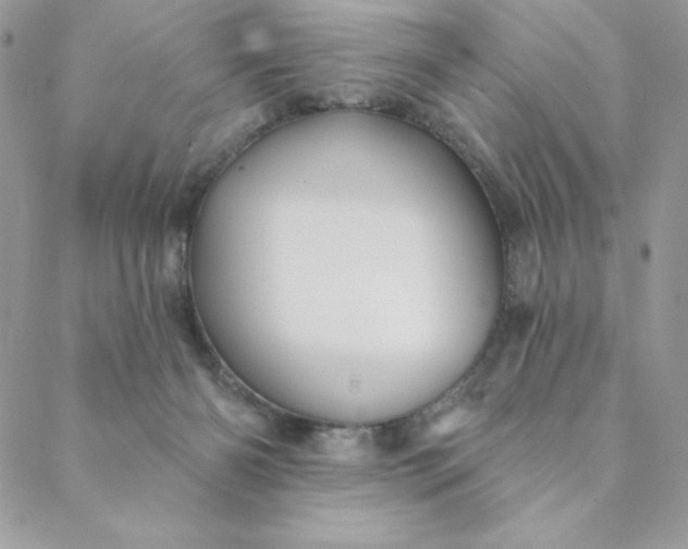 X0000088730126200706141648