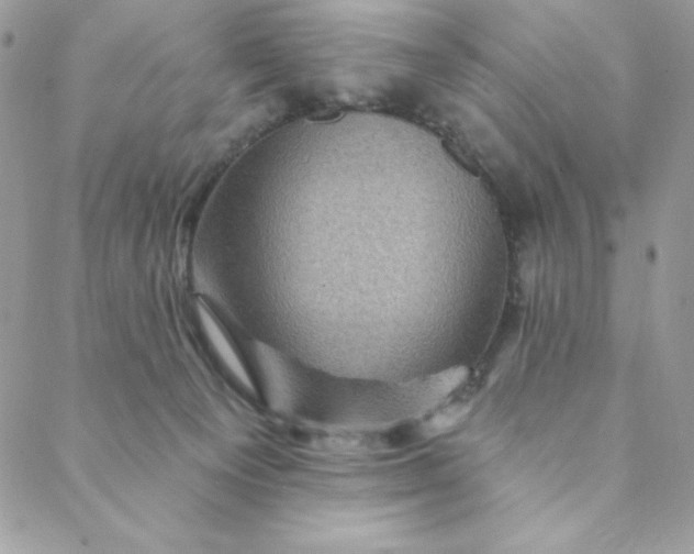 X0000088730129200706141648