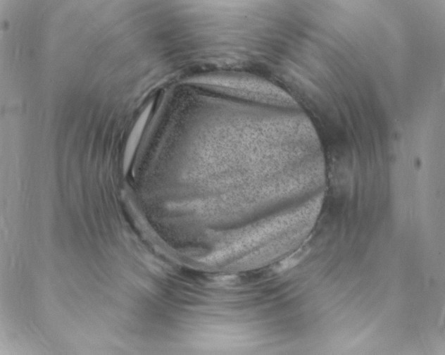X0000088730132200706141647