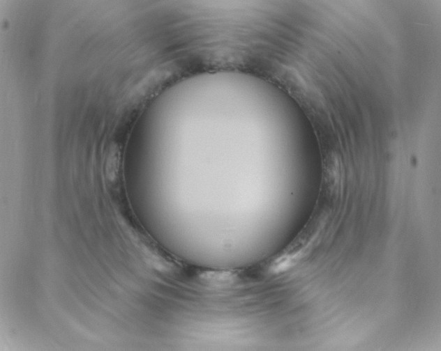 X0000088730133200706141647