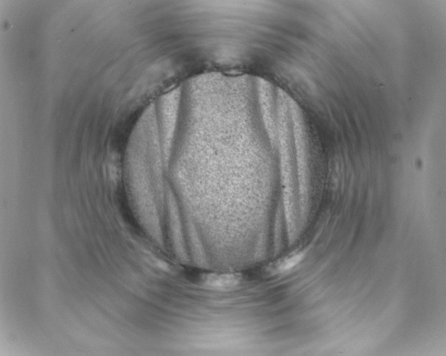 X0000088730135200706141647