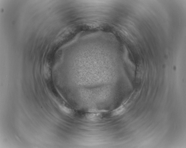 X0000088730136200706141647