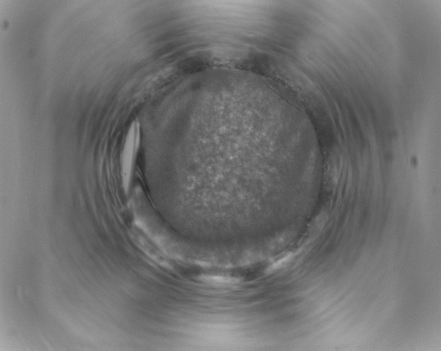 X0000088730137200706141647