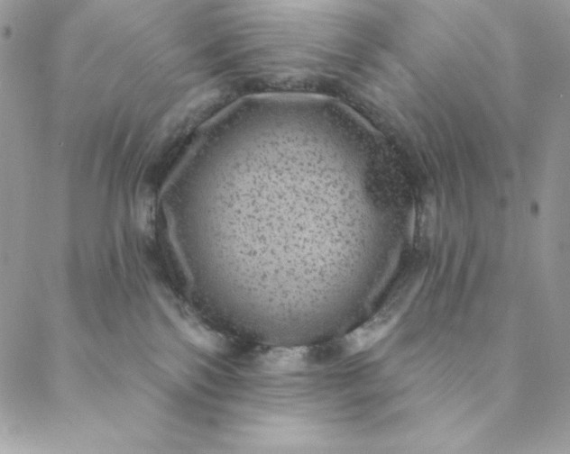 X0000088730138200706141647