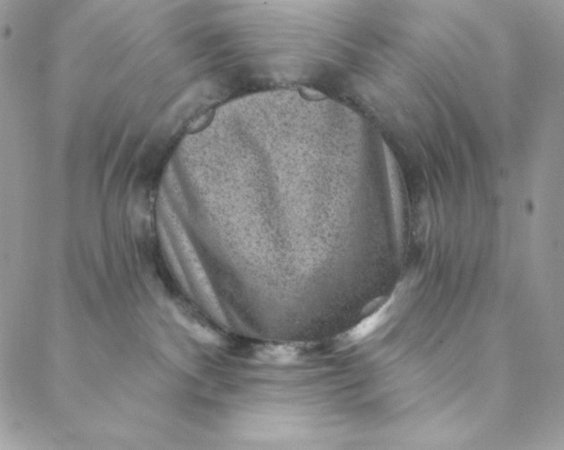 X0000088730140200706141647