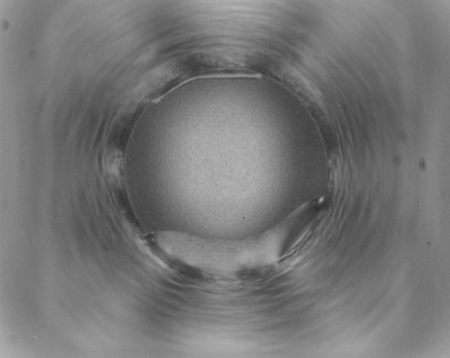 X0000088730141200706141647