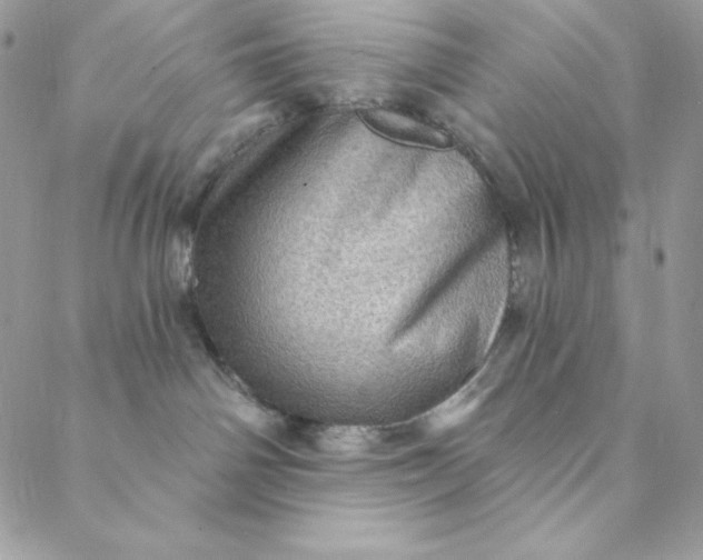 X0000088730142200706141647