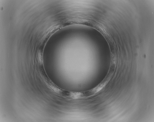 X0000088730143200706141647