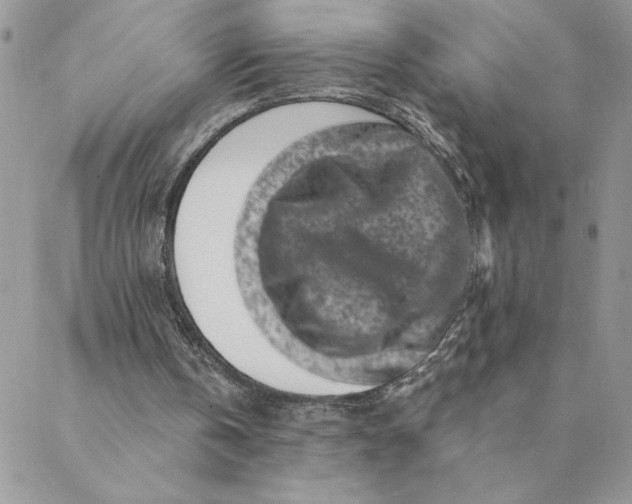 X0000088730146200706141647