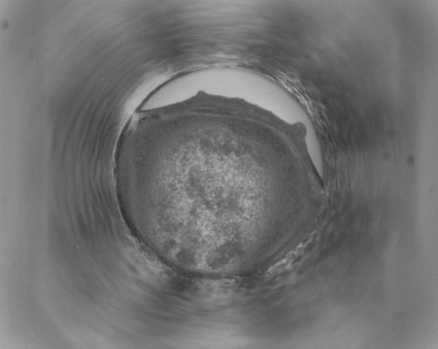 X0000088730147200706141647