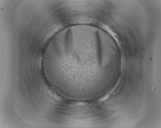 X0000088730153200706141647