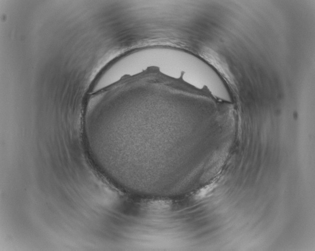 X0000088730156200706141647