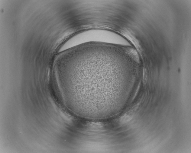 X0000088730157200706141647