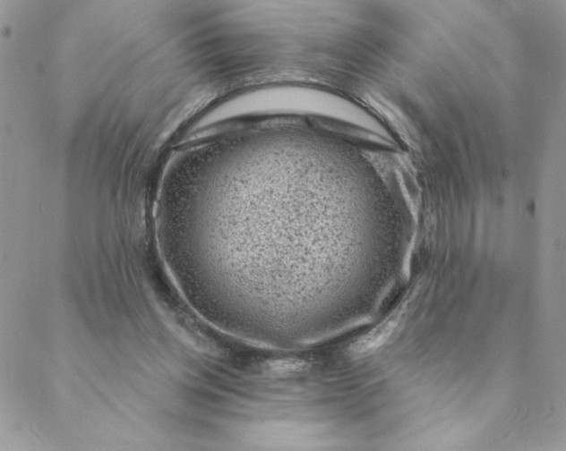 X0000088730158200706141647