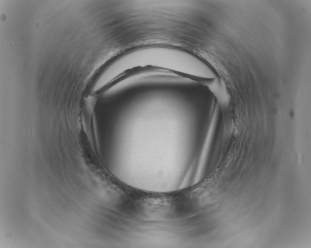 X0000088730160200706141647
