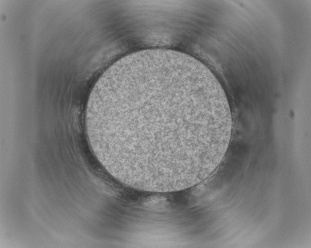 X0000088730162200706141647