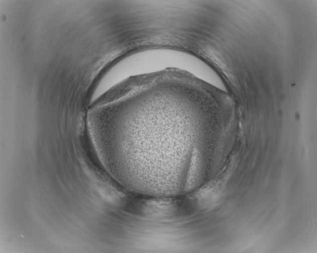 X0000088730164200706141647
