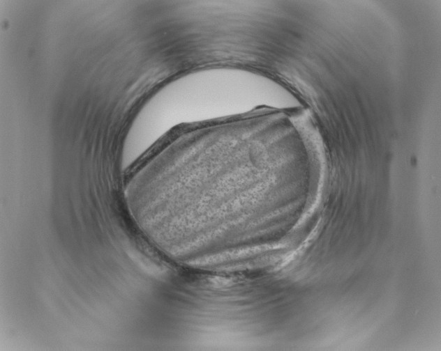 X0000088730166200706141647