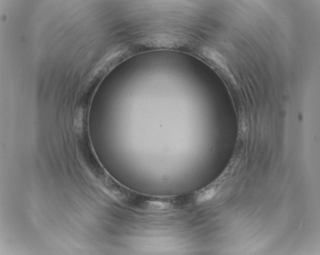 X0000088730167200706141647