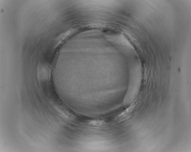 X0000088730168200706141647