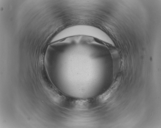 X0000088730172200706141647